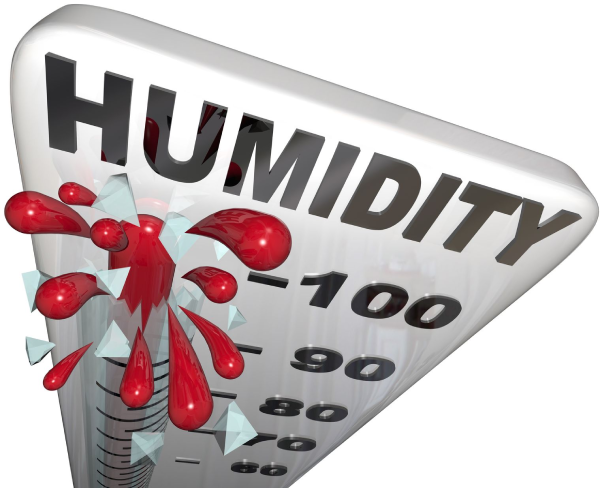 High Humidity in Northern Texas